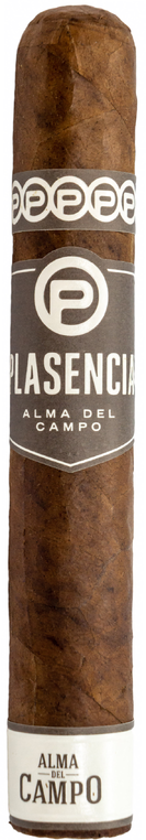 Plasencia Alma Del Campo Guajiro