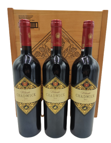 Vinedo Chadwick Vertical Library Edition 75cl 200920102011