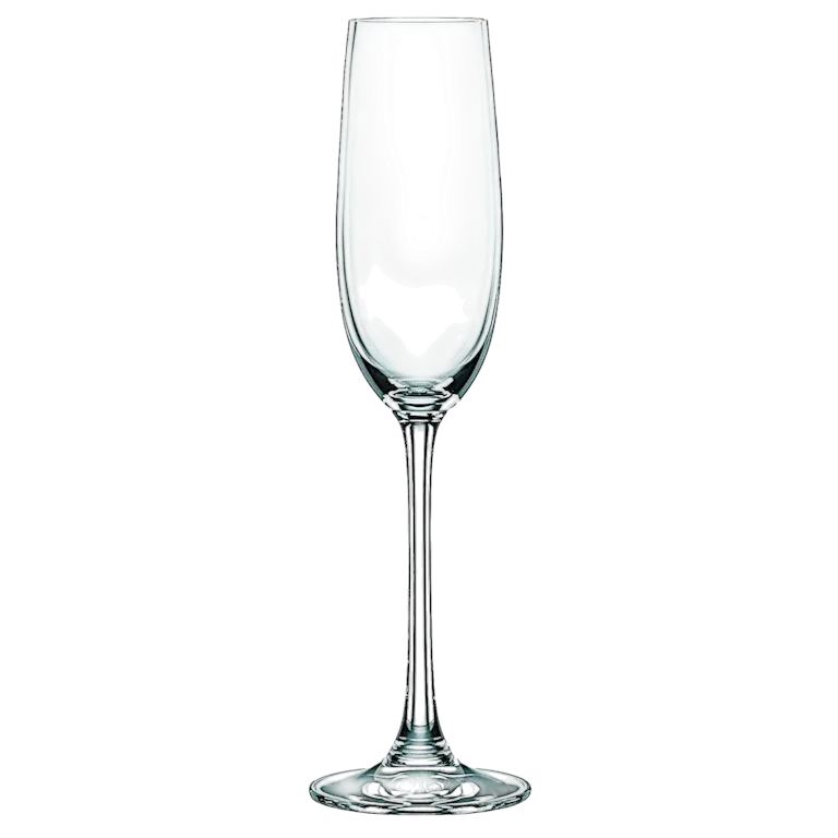 Nachtmann Champagne Flute Vivendi Set of 4