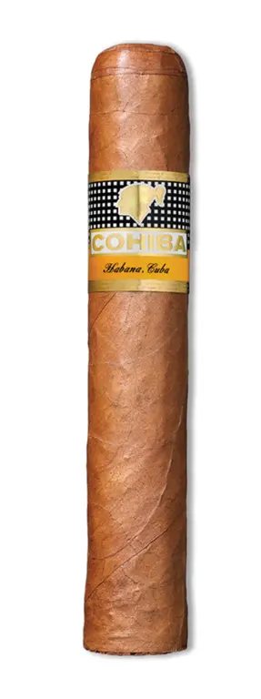 Cohiba Robustos