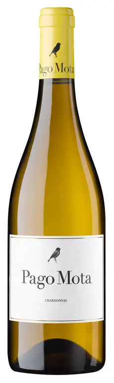 Bodegas Arzuaga Pago Mota 2020