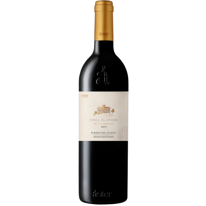 Aster Finca el Otero 2019