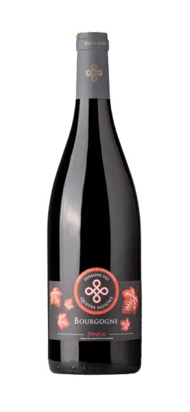 Domaine Des Quatre Saison Bourgogne Epineuil 2020