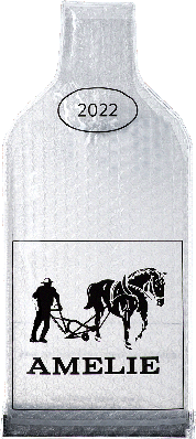 Amelie Shell Bottle Protector