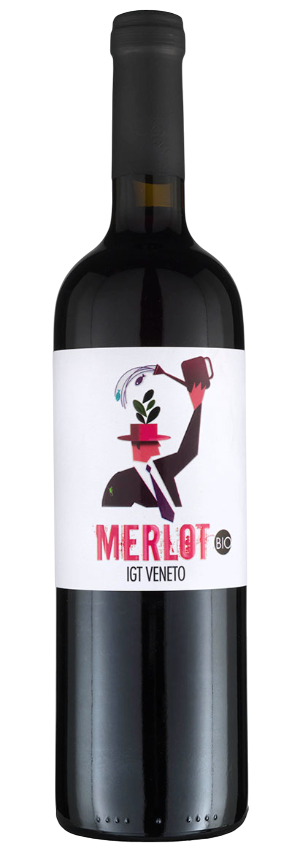 Azienda Agricola Trevisana Merlot Veneto IGT