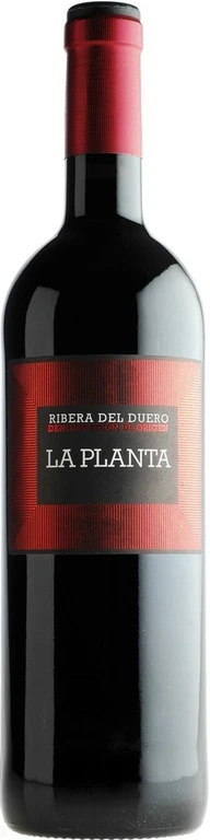 Bodegas Arzuaga La Planta 2020